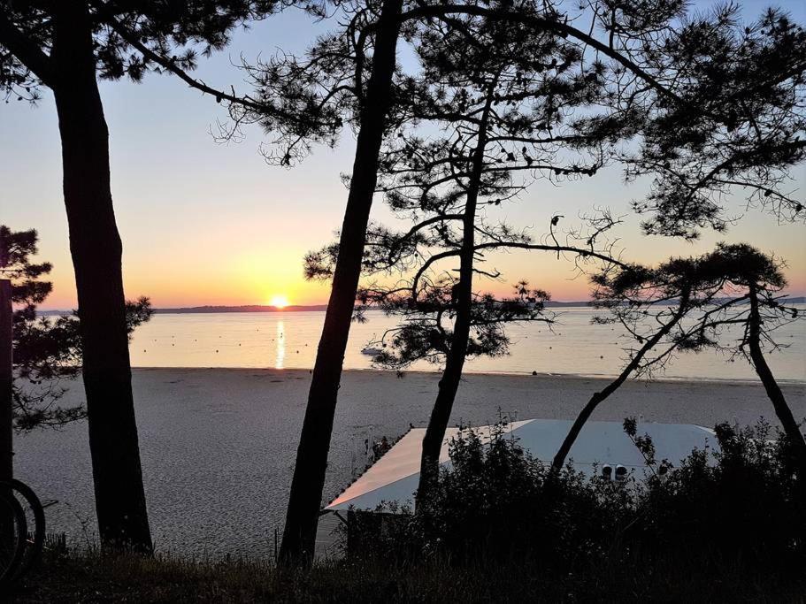 Appartement Les Pieds Dans L Eau Acces Direct Plage Pereire, Parking Gratuit ,Wifi Аркашон Экстерьер фото